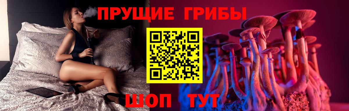 Галлюциногенные грибы ЛСД  Вход с VPN  Жигулёвск 